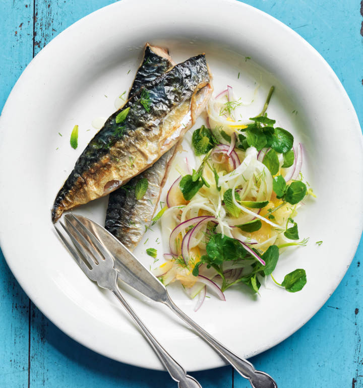 Roasted mackerel with fennel, red onion and apricot salad Sainsbury`s